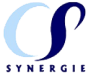 Consult Services Synergie logo