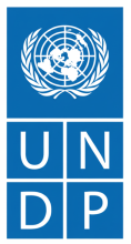UNDP logo