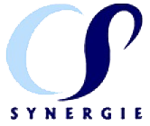 Consult Services Synergie logo